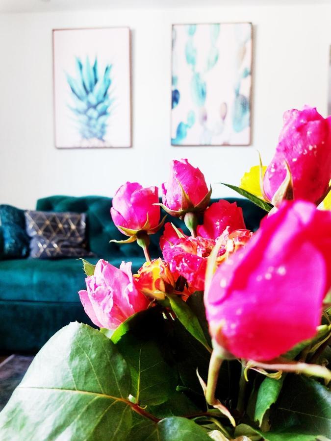 Apartman Dm サラエヴォ エクステリア 写真
